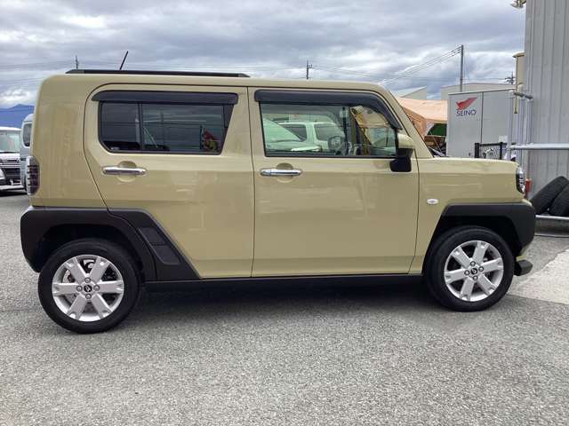 Daihatsu Taft 8
