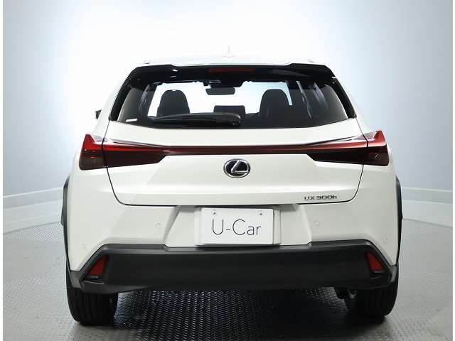 Lexus UX 8