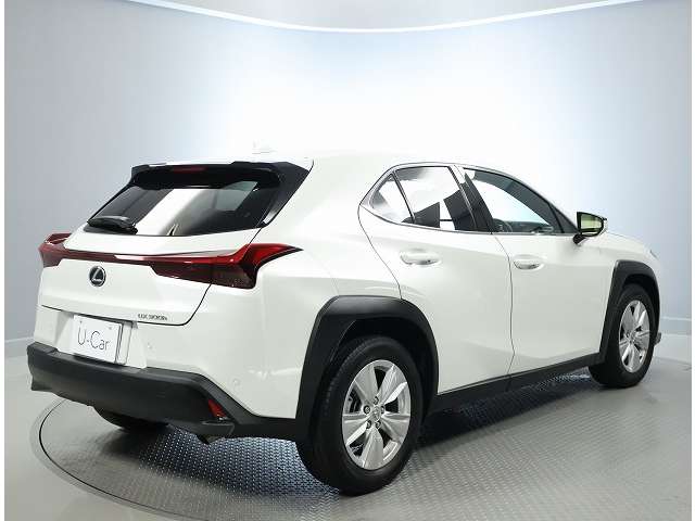 Lexus UX 9