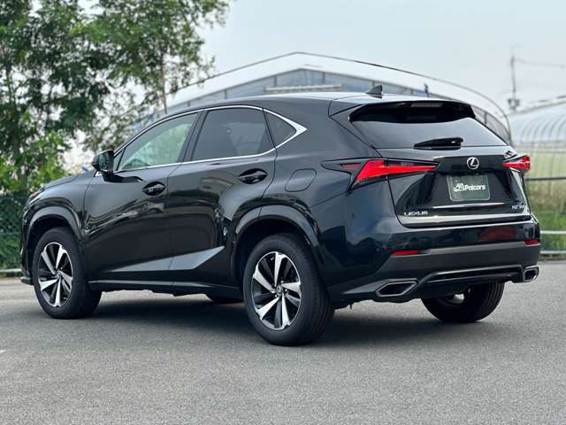 Lexus NX 11