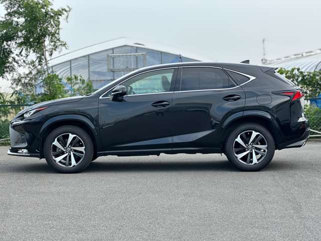 Lexus NX 12
