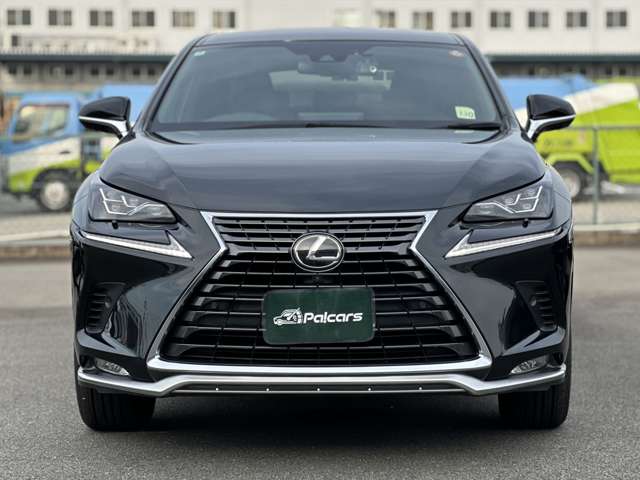 Lexus NX 6