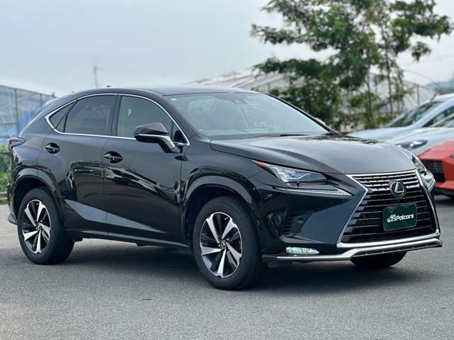Lexus NX 7
