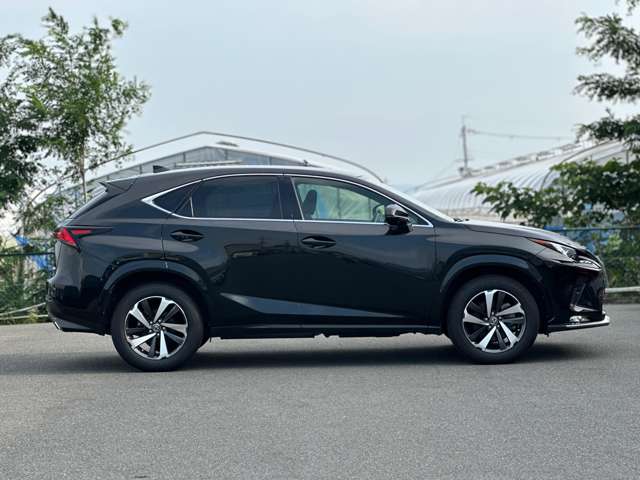 Lexus NX 8