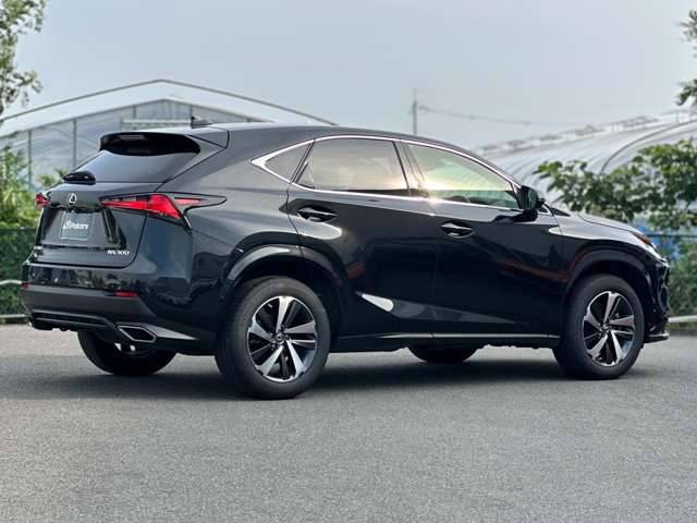 Lexus NX 9