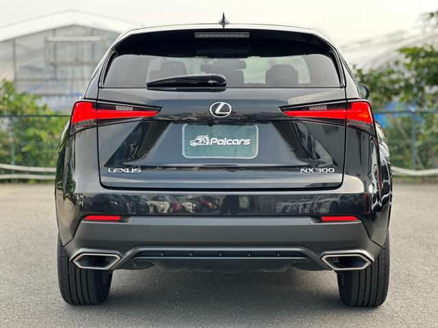 Lexus NX 10