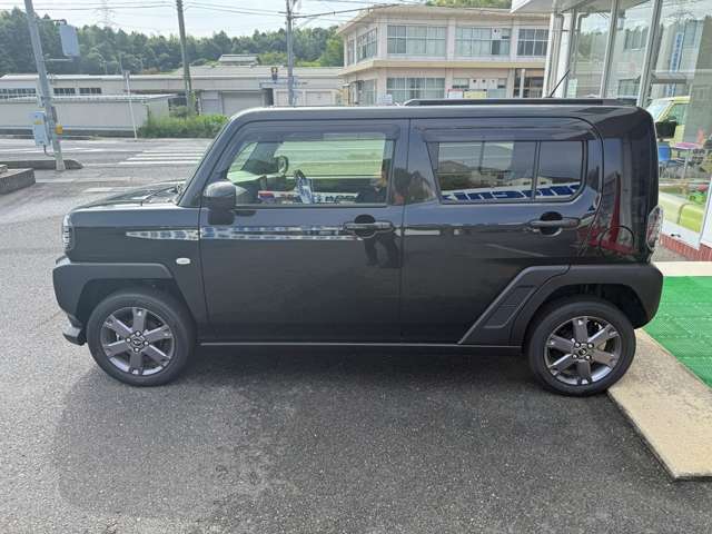 Daihatsu Taft 9