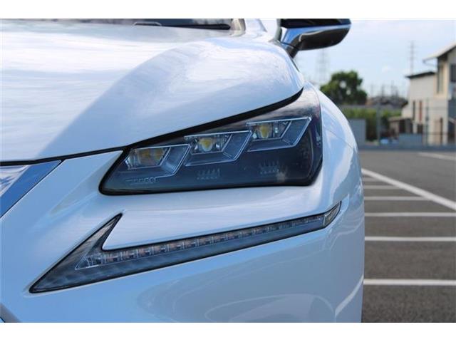 Lexus NX 12