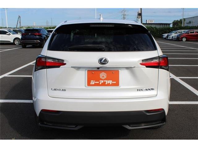 Lexus NX 7