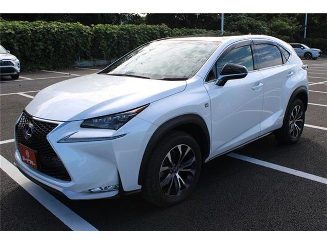 Lexus NX 10