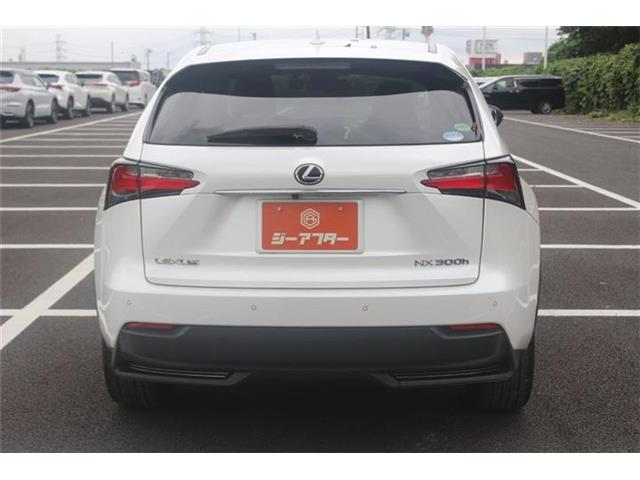 Lexus NX 12