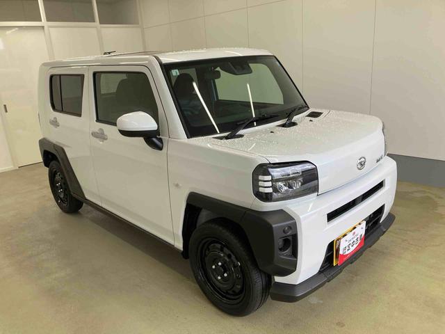 Daihatsu Taft 6