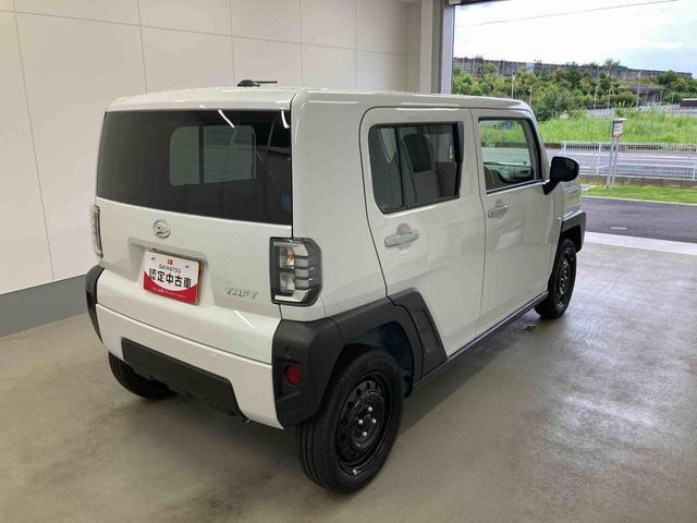 Daihatsu Taft 8