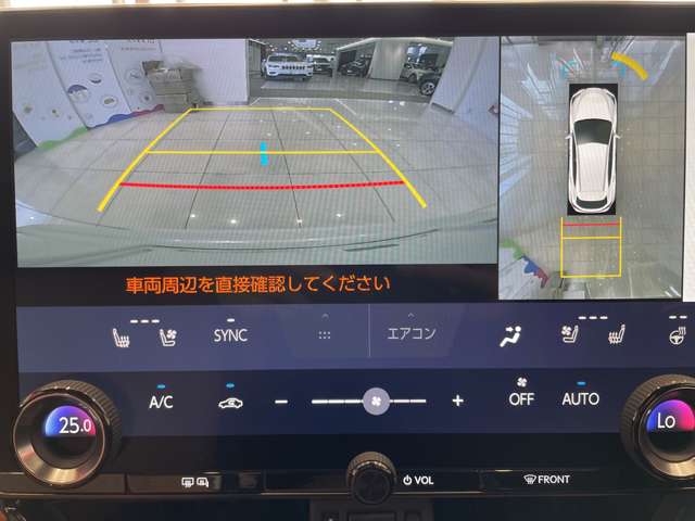 Lexus NX 4