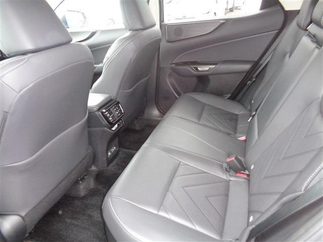 Lexus NX 11