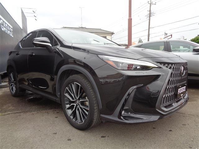 Lexus NX 3