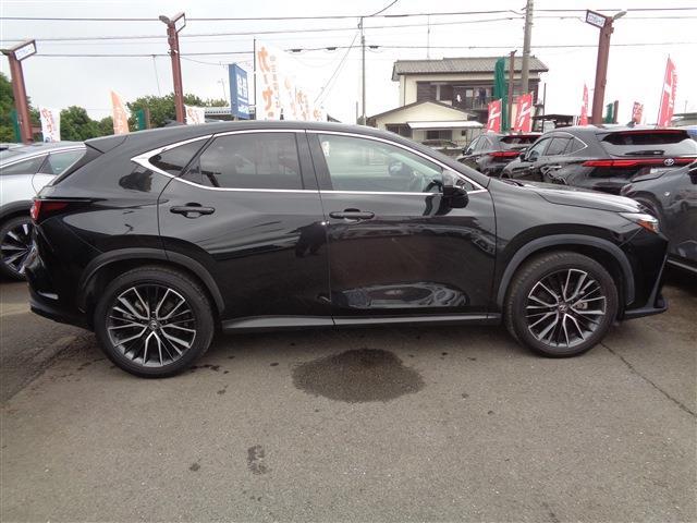Lexus NX 4