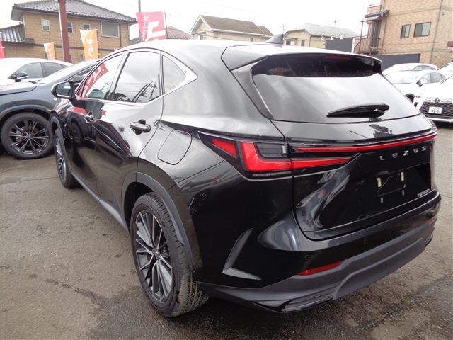 Lexus NX 6