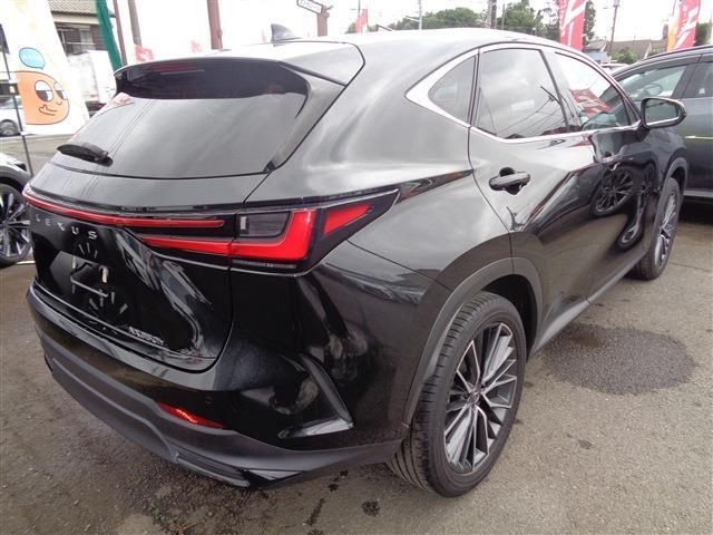 Lexus NX 8