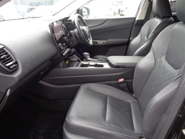Lexus NX 10