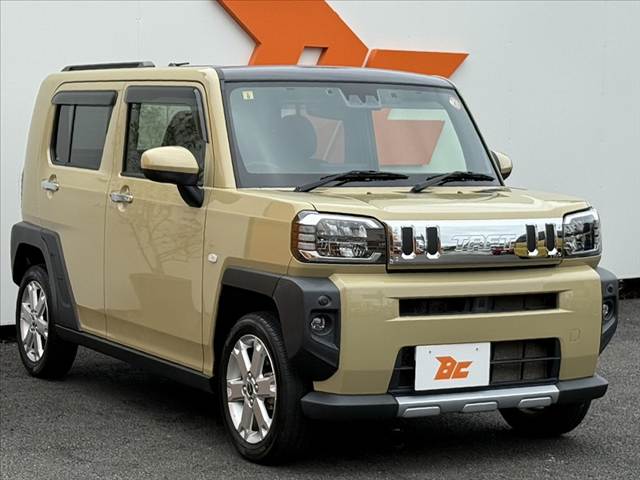 Daihatsu Taft 8