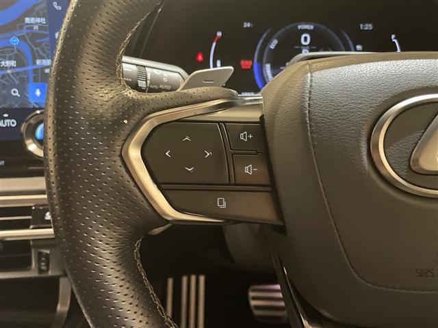 Lexus RX 11