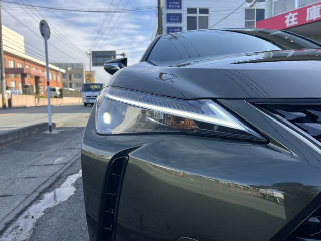 Lexus UX 12