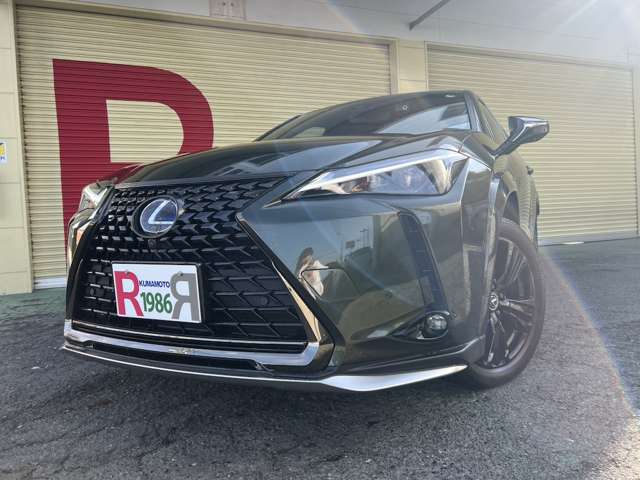 Lexus UX 6