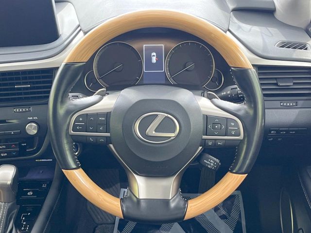 Lexus RX 11