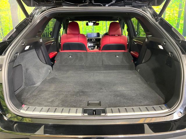 Lexus RX 10