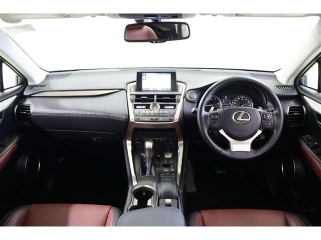 Lexus NX 4