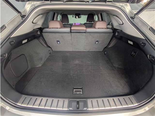 Lexus RX 11