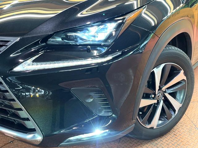 Lexus NX 12