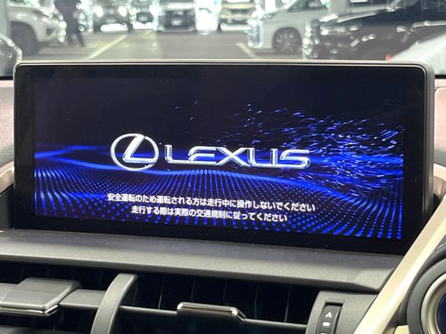 Lexus NX 4