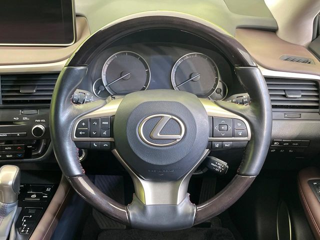 Lexus RX 11