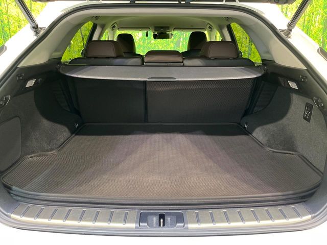 Lexus RX 10