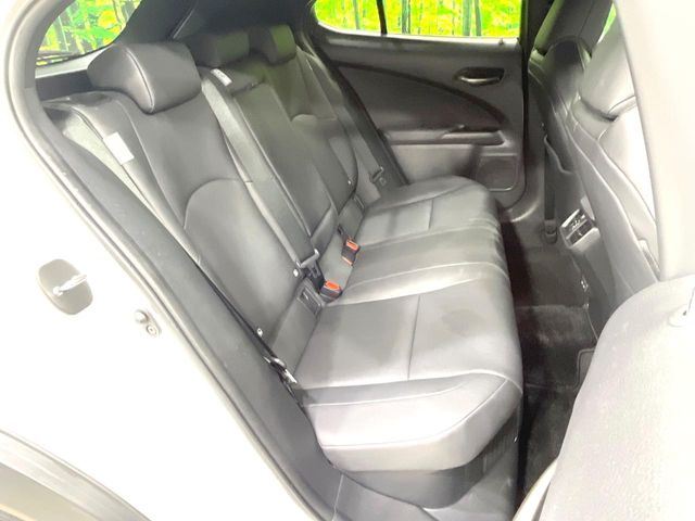 Lexus UX 11