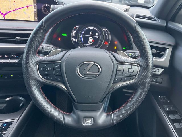 Lexus UX 12