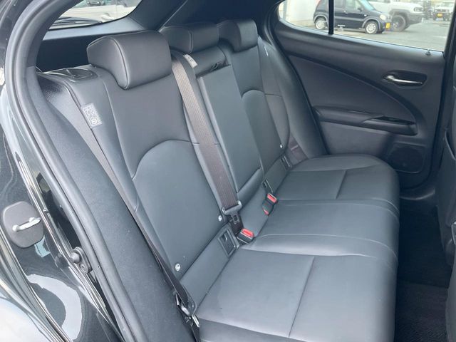 Lexus UX 10