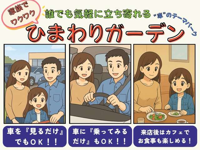 Mitsubishi Minicab Van 2