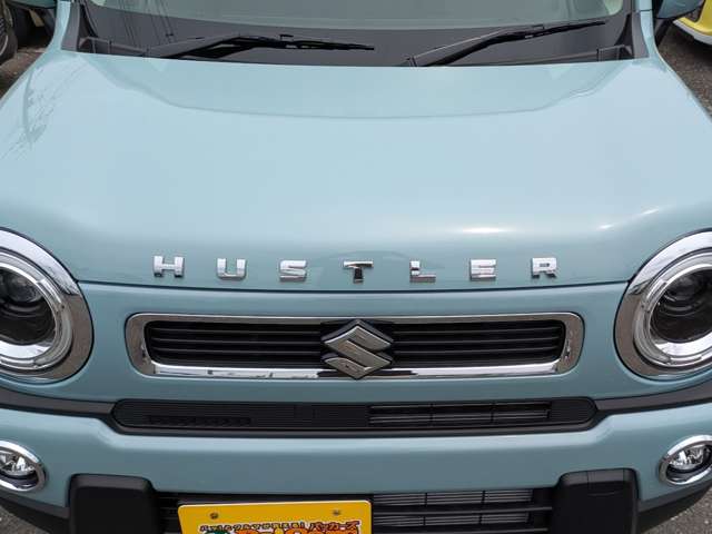 Suzuki Hustler 6