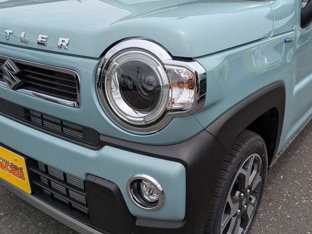 Suzuki Hustler 7