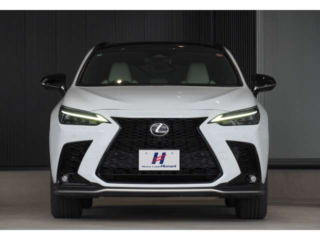 Lexus NX 4