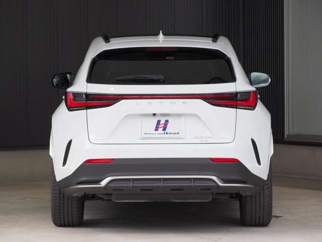 Lexus NX 6