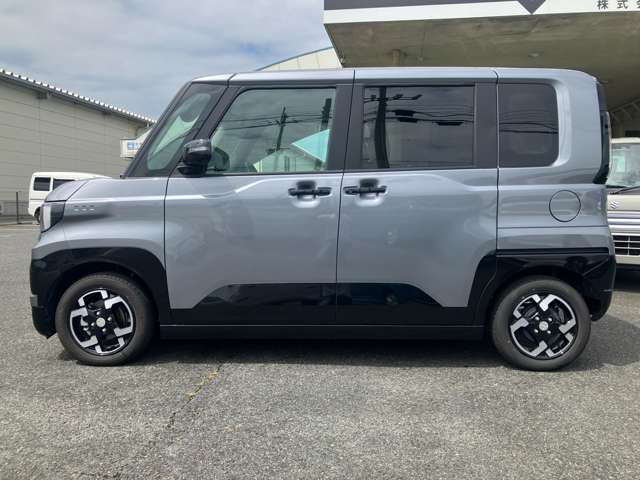 Mitsubishi Delica Mini 11