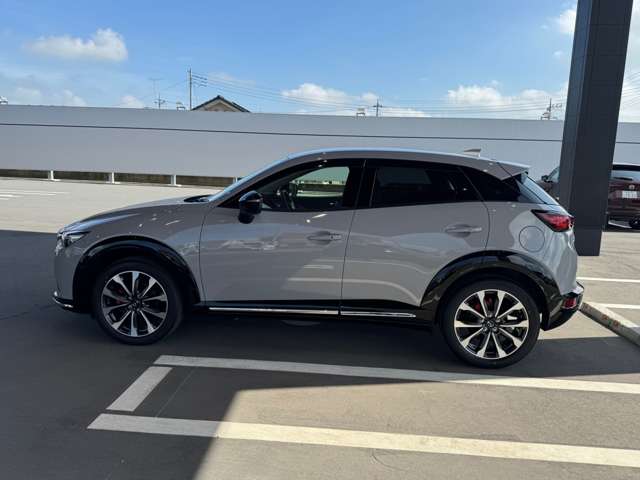 Mazda CX-3 5