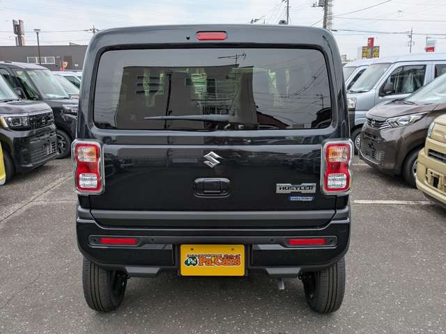 Suzuki Hustler 11