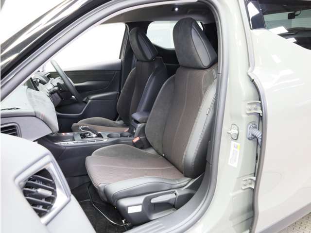 DS Automobiles DS3 11