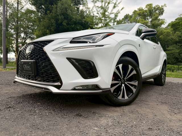 Lexus NX 10