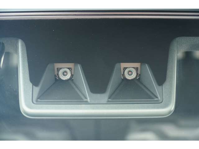 Daihatsu Taft 8